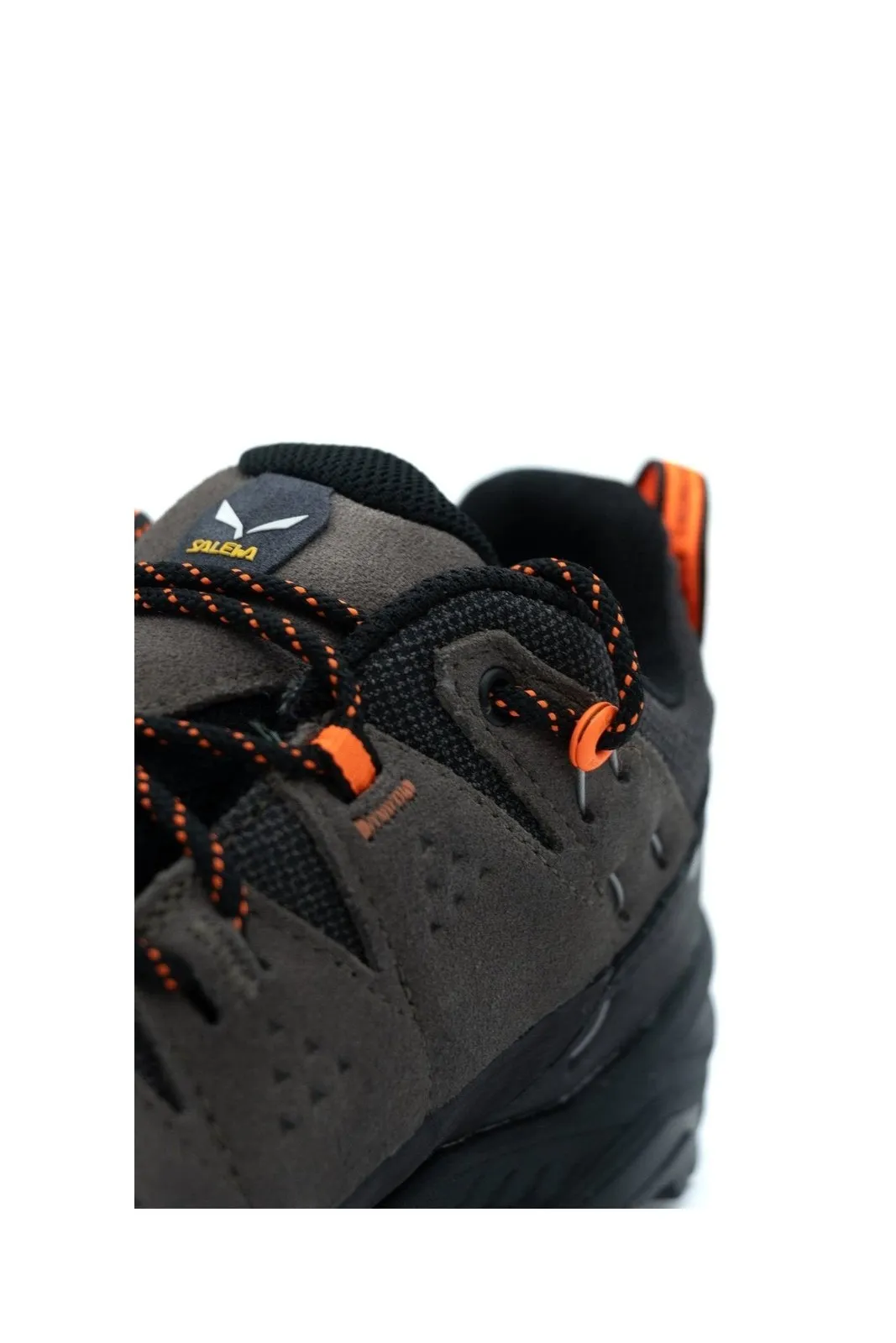 Alp Trainer 2 Gtx M
