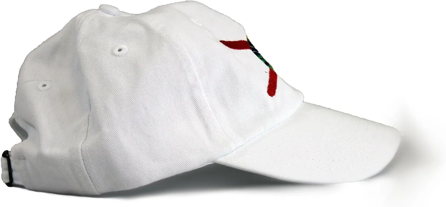 Ann Arbor T-shirt Co. American 50 States Pride Flag Baseball Low Profile Dad Hat for Men Women