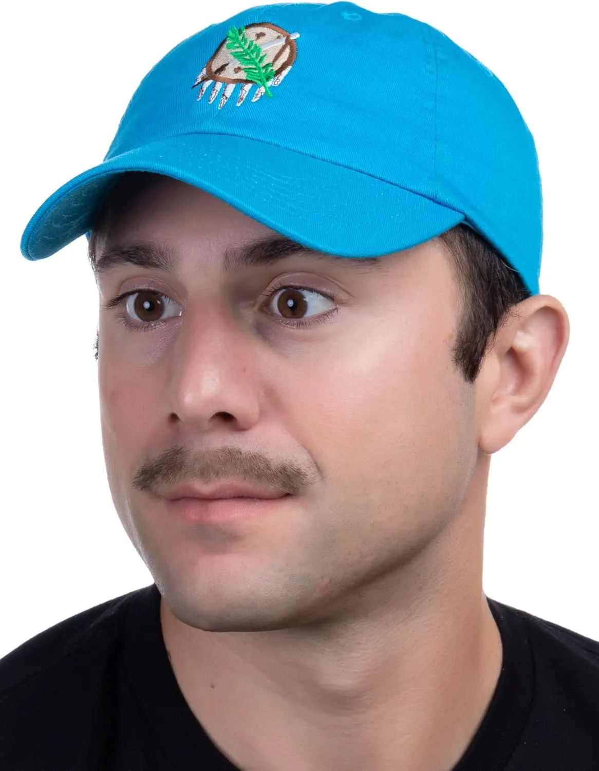 Ann Arbor T-shirt Co. American 50 States Pride Flag Baseball Low Profile Dad Hat for Men Women