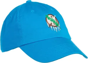 Ann Arbor T-shirt Co. American 50 States Pride Flag Baseball Low Profile Dad Hat for Men Women