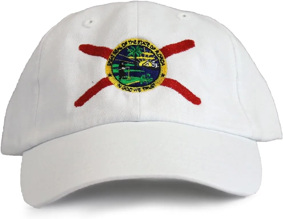 Ann Arbor T-shirt Co. American 50 States Pride Flag Baseball Low Profile Dad Hat for Men Women