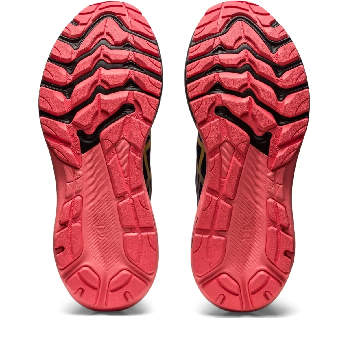 ASICS GT-2000 11 Trail Nature Bathing/Papaya 10 B (M)