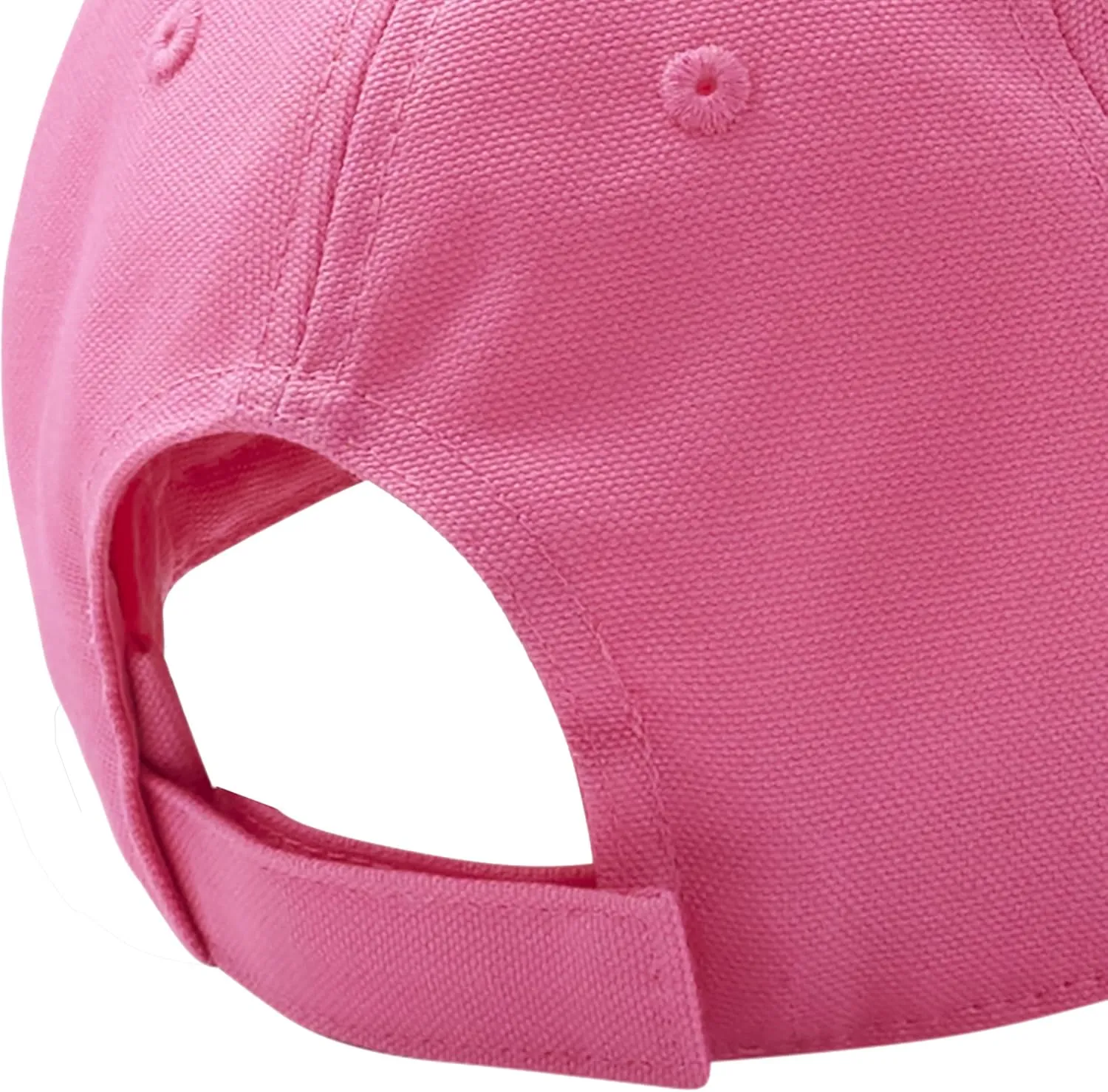 Carhartt Signature Canvas Cap