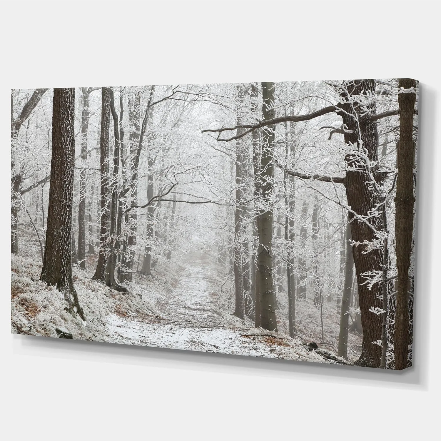 Designart Forest Trail on Winter Morning Artwork Canvas, 32x16, White