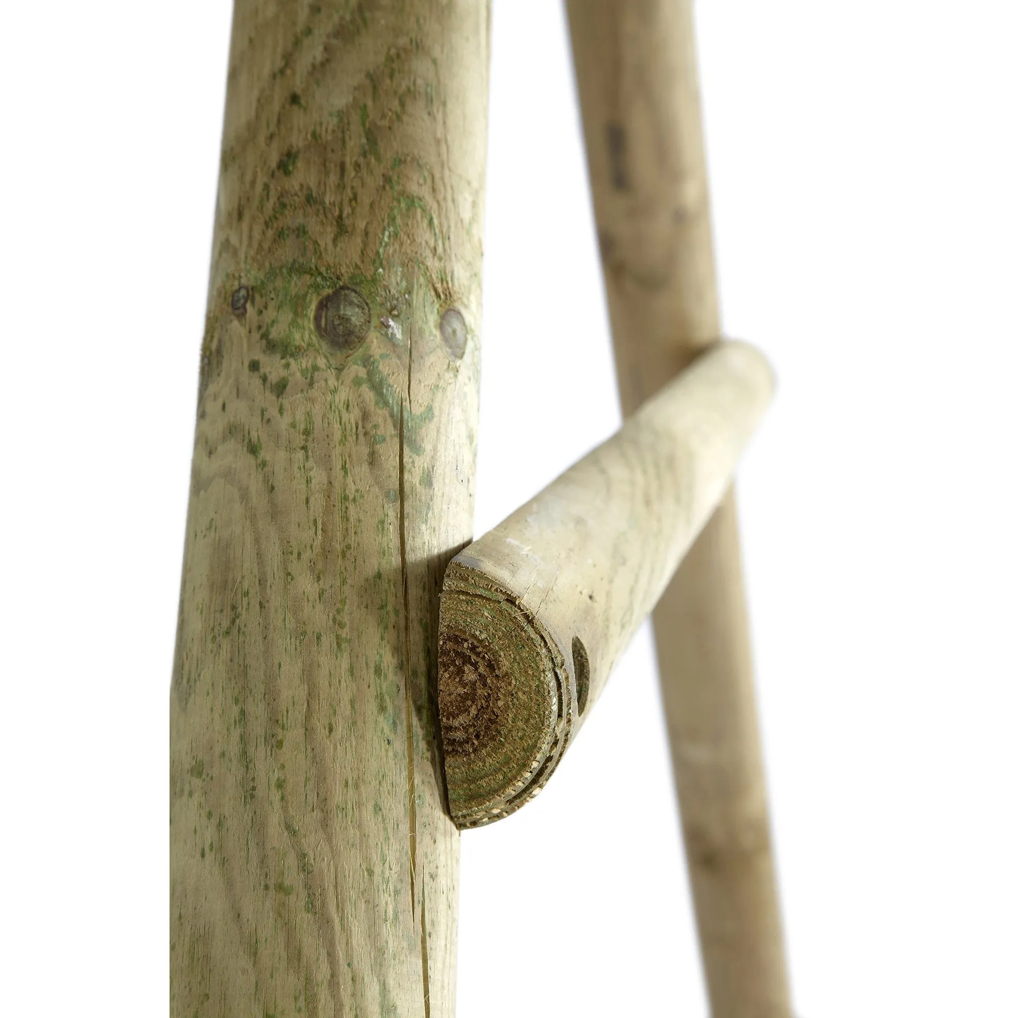 Giant Baboon Wooden Swing Set