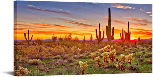 KREATIVE ARTS Large Single Piece Canvas Painting North American Sonoran Desert at Sunset Picture Print on Canvas Botanical Cactus Landscape Artwork for Living Room Ready to Hang 20x40inch