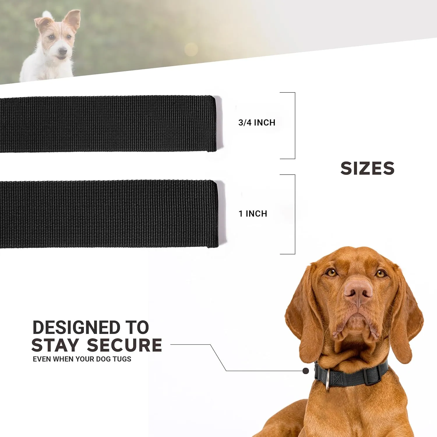 Moose Racing University of Portland Dog Collar - Deluxe Adjustable Dog Collars, 3/4" Wide Collar Adjusts 11-1/2 – 17-1/2", Medium, Pilots On Purple