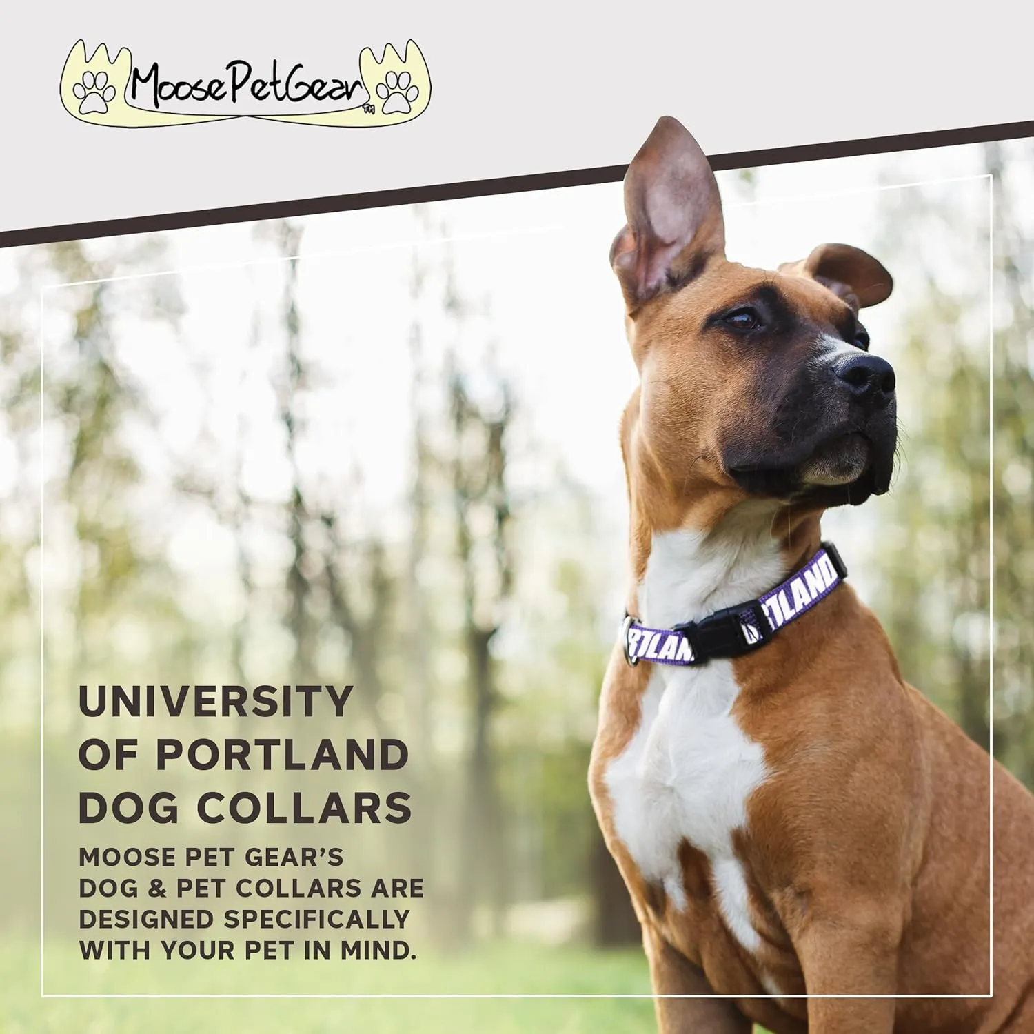 Moose Racing University of Portland Dog Collar - Deluxe Adjustable Dog Collars, 3/4" Wide Collar Adjusts 11-1/2 – 17-1/2", Medium, Pilots On Purple