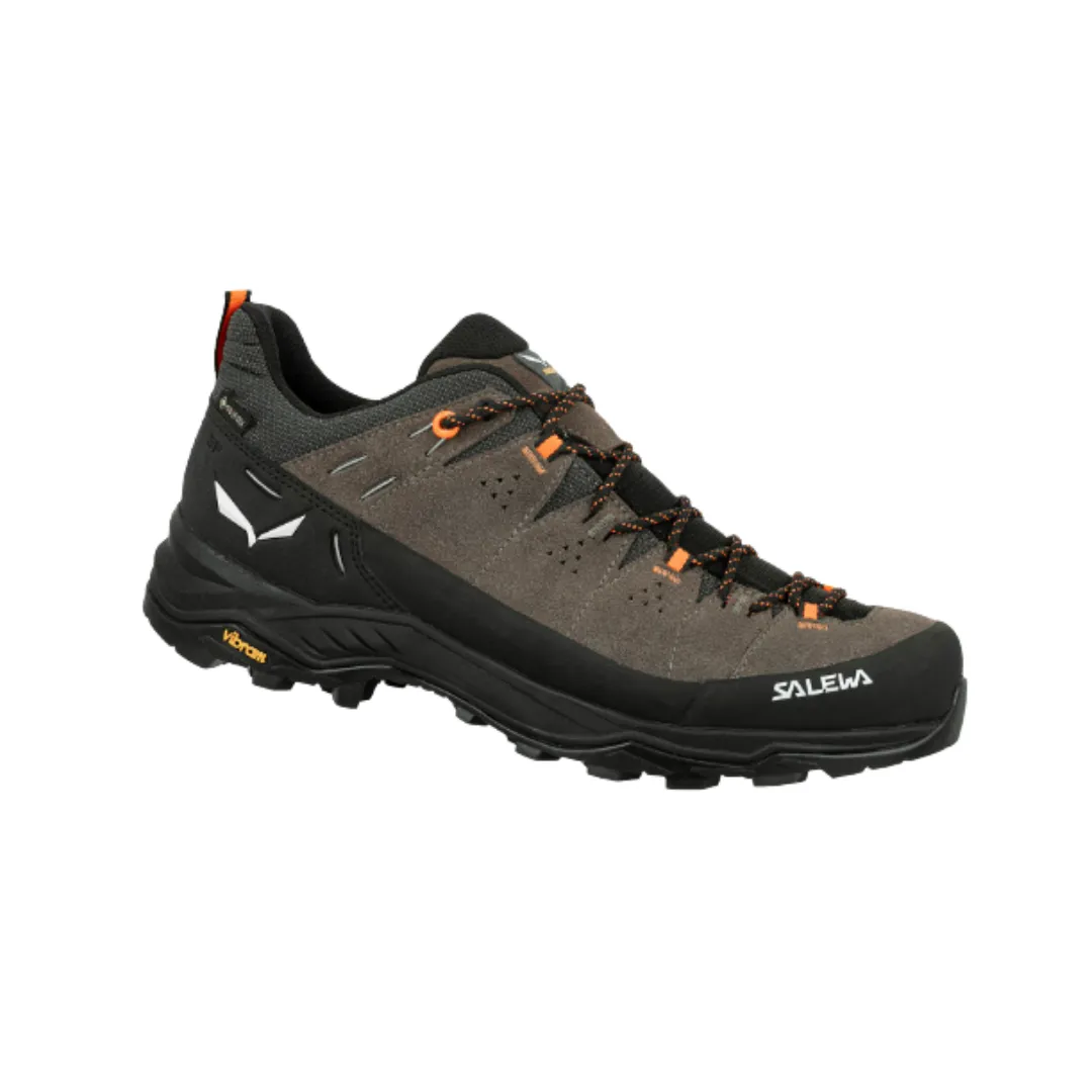 M's Alp Trainer 2 GTX