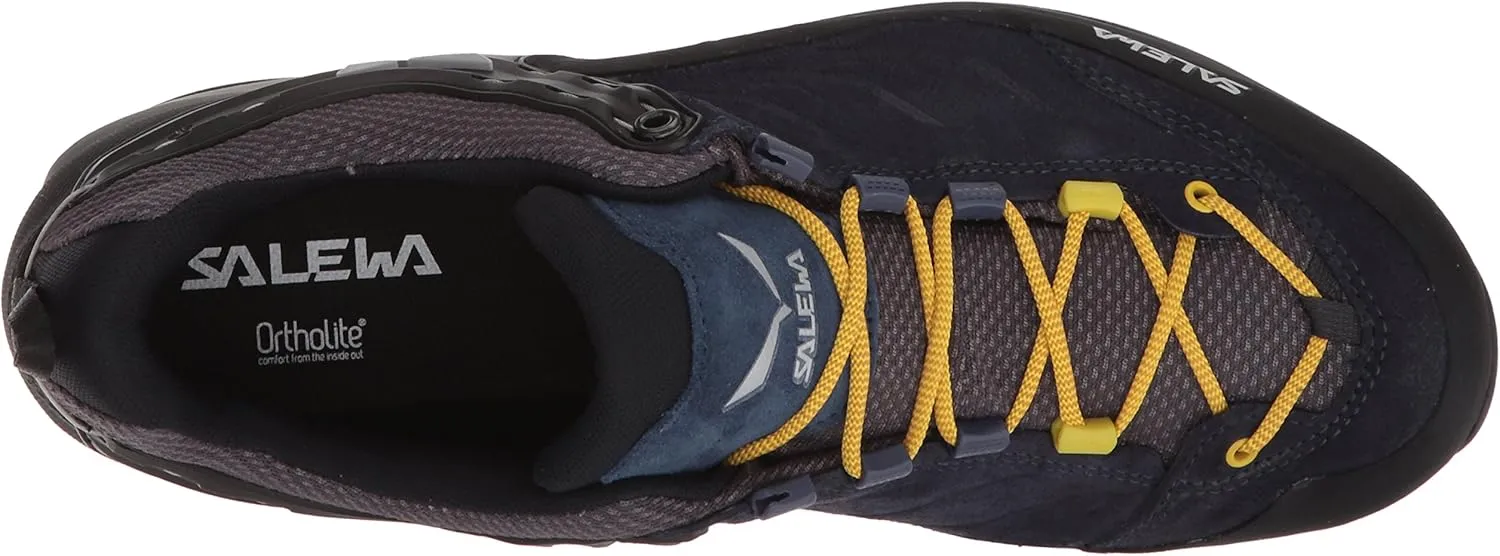 Salewa Men's MS MTN Trainer GTX Hiking Shoe
