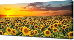 Sunflower Canvas Wall Art Brilliant Sunflower with Sunset Landscape Picture Painting Printed on Canvas Framed and Stretched Floral Wall Decor for Home Living Room Bedroom Office Kitchen Wall Decoration 20"x48" Ready to Hang