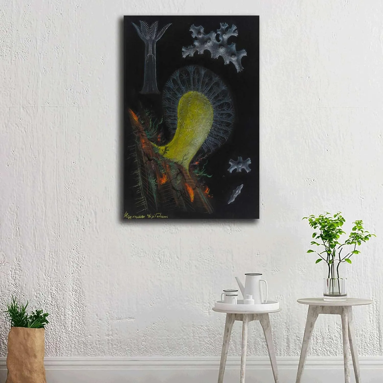 YPEKODRF Oil on Canvas Posters And PrintsPhilip Henry Gosse Dead Man's Fingers (CLiving Room Bedroom Home Decoration 16x24inch
